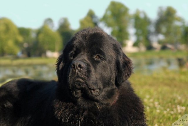 Фотография № 72272