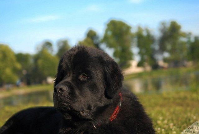 Фотография № 72273