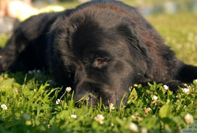 Фотография № 72274