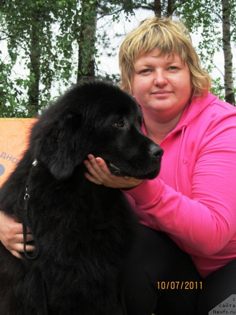 Фото: ньюфаундленд Ih Visochestvo Vilana Blum (Их Высочество Вилана Блум), Svetlana Stupnikova (Светлана Ступникова)