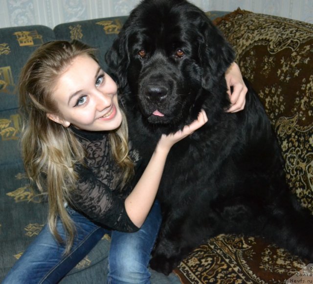 Фотография № 72366