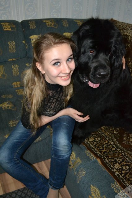 Фотография № 72368