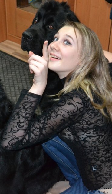 Фото: ньюфаундленд Gloriya Grand Blek (Глория Гранд Блек), и Наташа