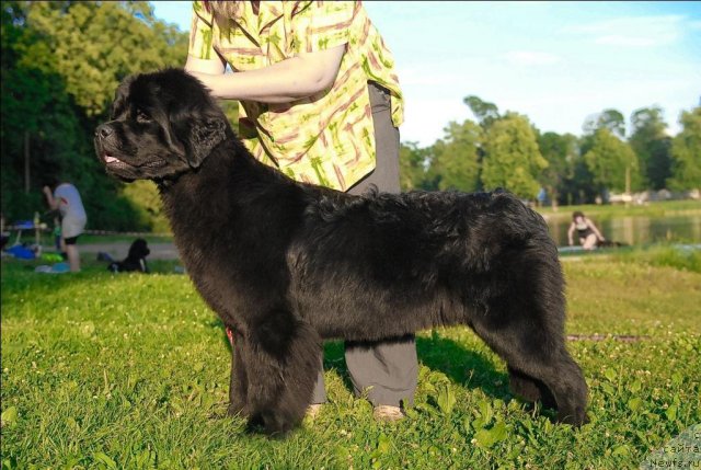 Фотография № 72385