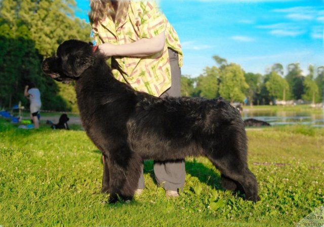 Фотография № 72386