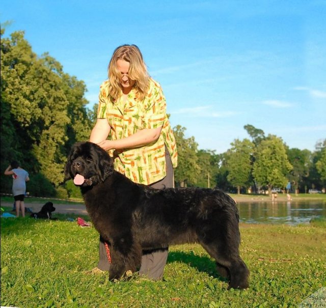 Фотография № 72387