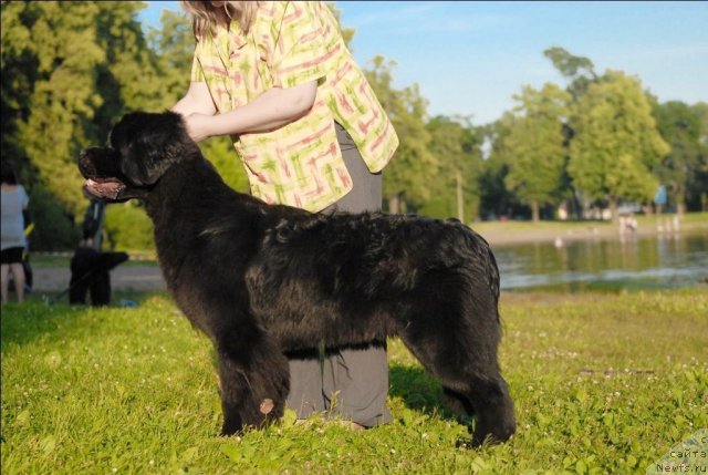 Фотография № 72388