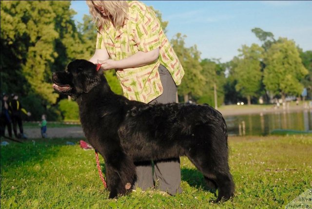 Фотография № 72389