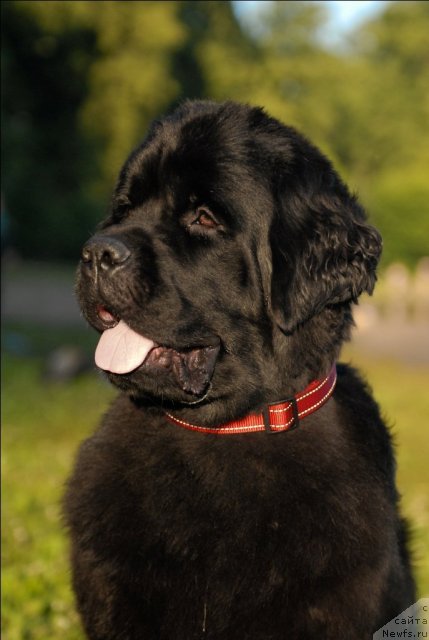 Фотография № 72390