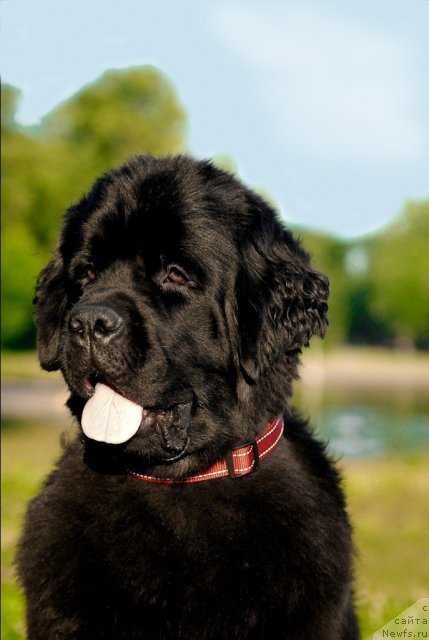 Фотография № 72391