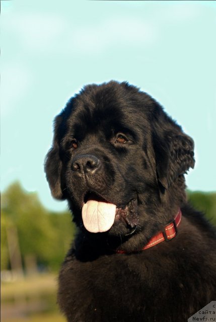 Фотография № 72392