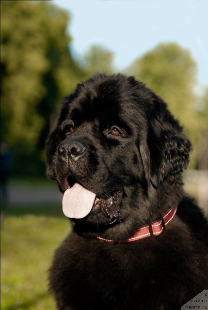 Фотография № 72393