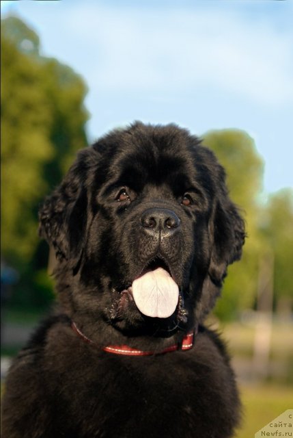 Фотография № 72394