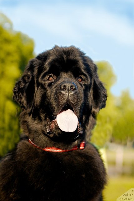 Фотография № 72395