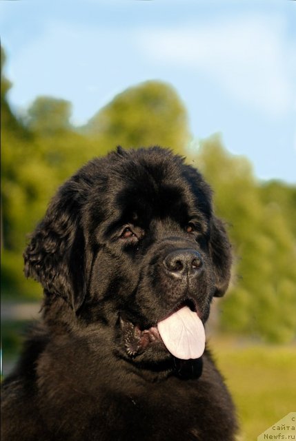 Фотография № 72396