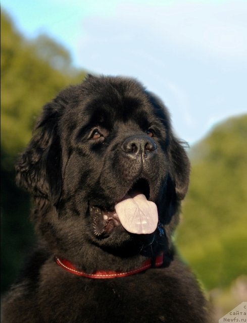 Фотография № 72397