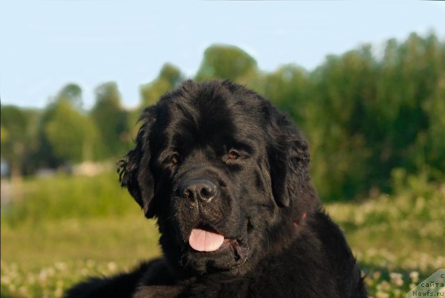 Фотография № 72398