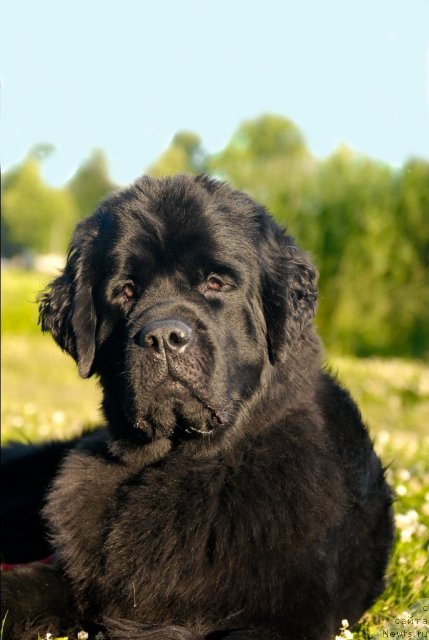 Фотография № 72399