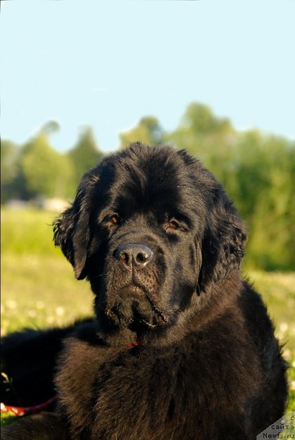 Фотография № 72400