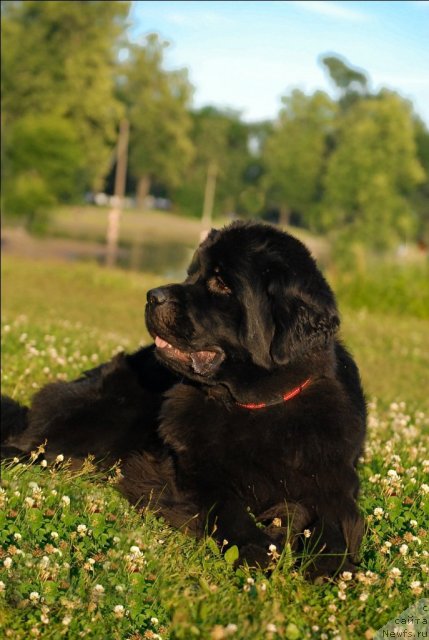 Фотография № 72401