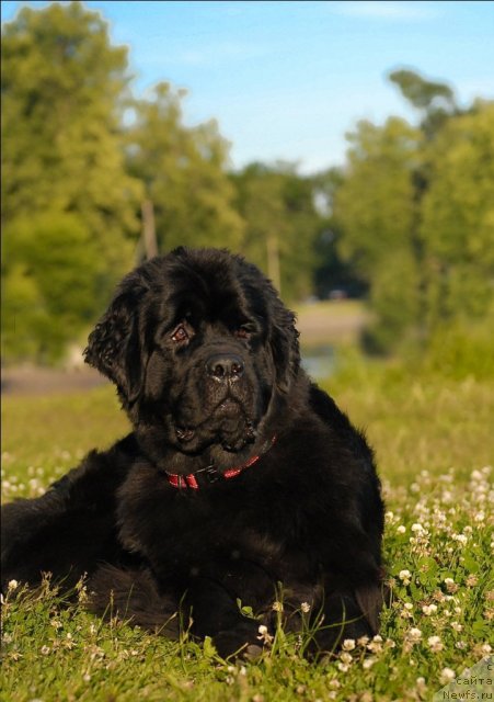 Фотография № 72403