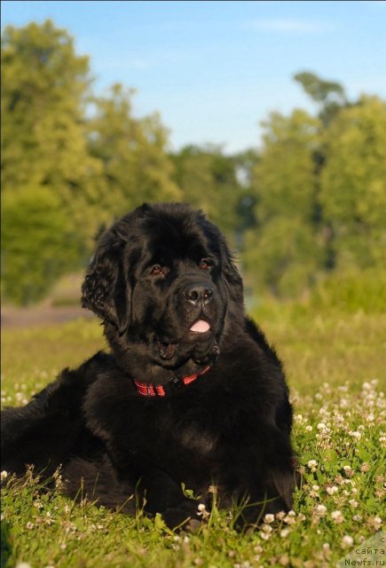 Фотография № 72404