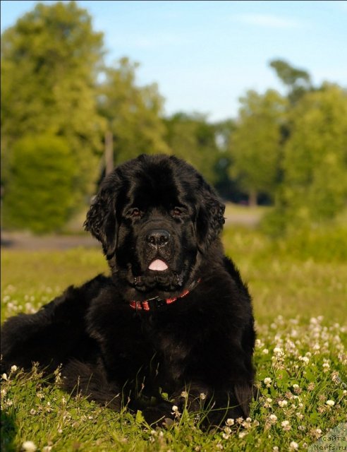 Фотография № 72405