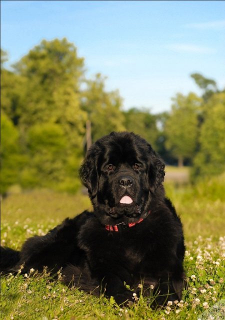 Фотография № 72406