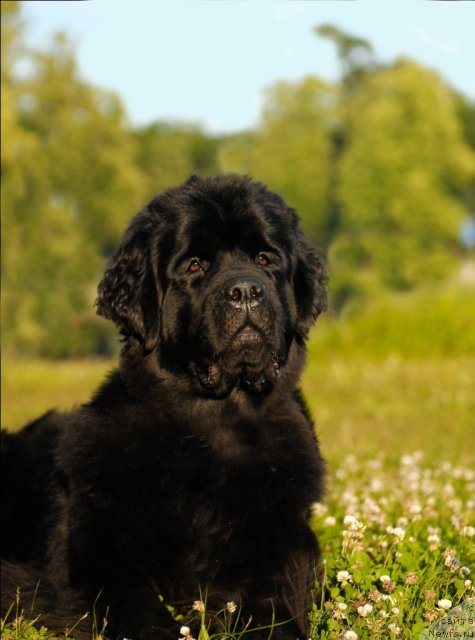 Фотография № 72408