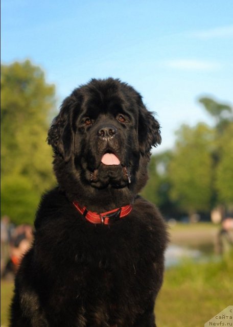 Фотография № 72409