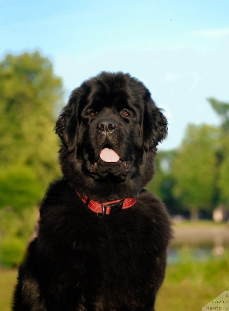 Фотография № 72410