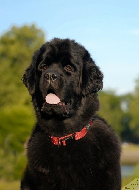 Фотография № 72411