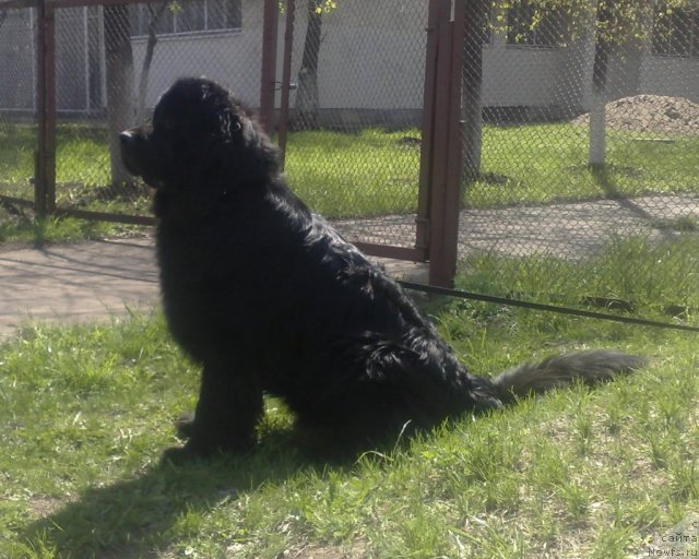 Фотография № 72525