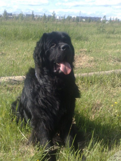 Фотография № 72526