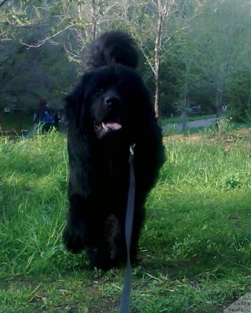 Фотография № 72527