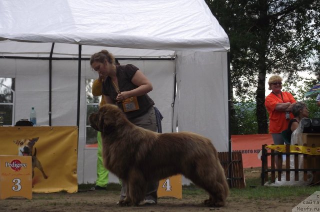 Фотография № 72536