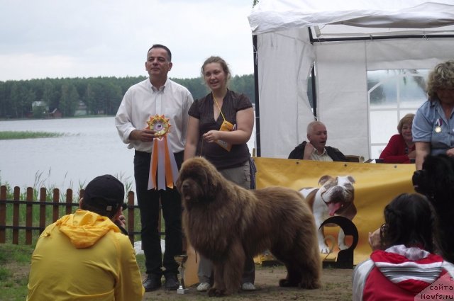 Фотография № 72544