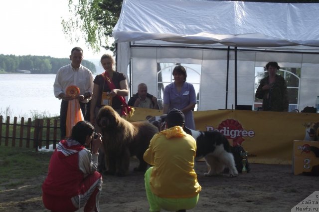 Фотография № 72559