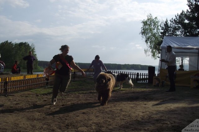 Фотография № 72560