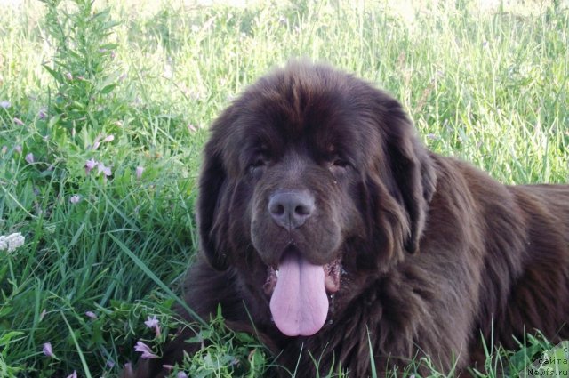 Фотография № 72578