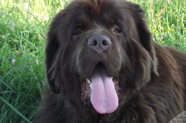 Фотография № 72584