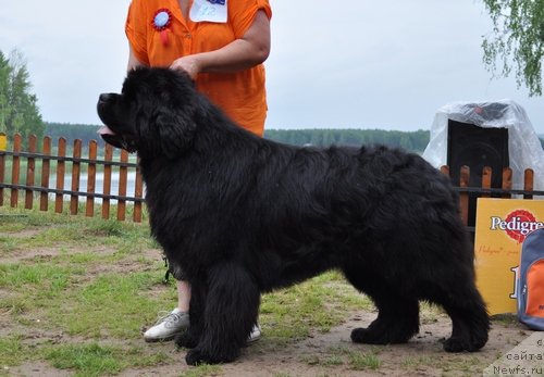 Фотография № 72645