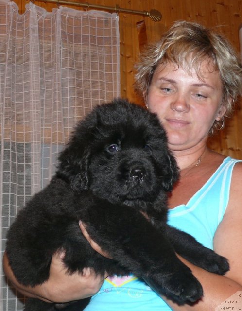 Фото: Svetlana Artyomova (Светлана Артёмова)