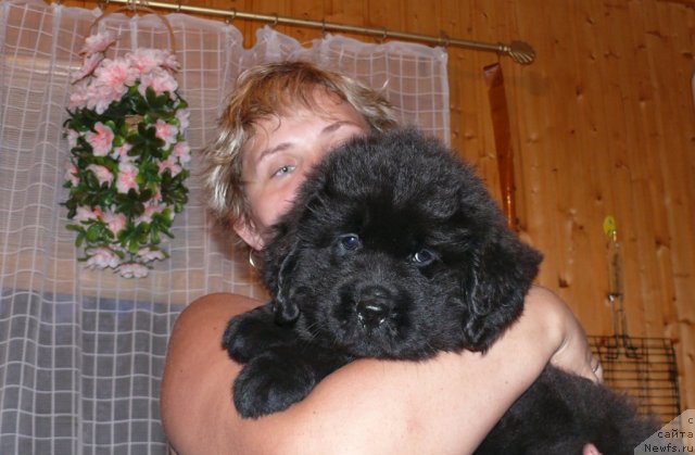 Фото: Svetlana Artyomova (Светлана Артёмова)