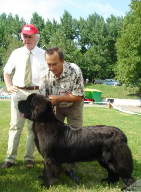 Фотография № 72814