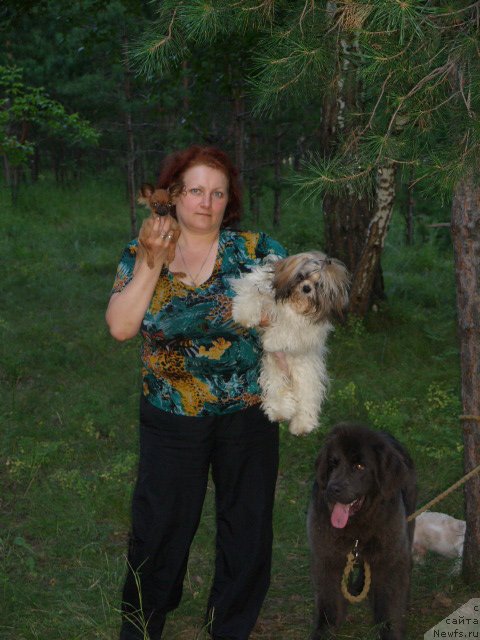 Фото: ньюфаундленд Akvamarinovaya Krasotka dlya Marleon (Аквамариновая Красотка для Марлеон), Tat'yana SHayduk (Татьяна Шайдук)