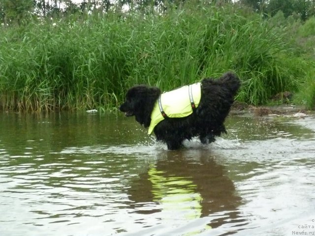 Фотография № 72847