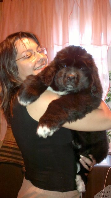 Фото: Elena Cyiplenkova (Елена Цыпленкова)