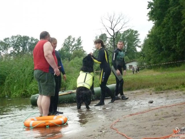 Фотография № 72849