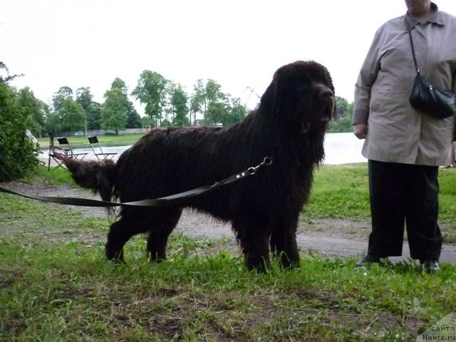 Фотография № 72854